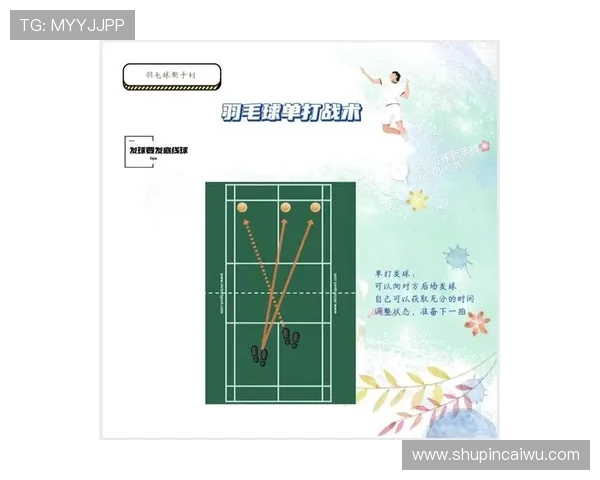 羽毛球战术解析：成都羽毛球队的战术控制与执行体系探讨